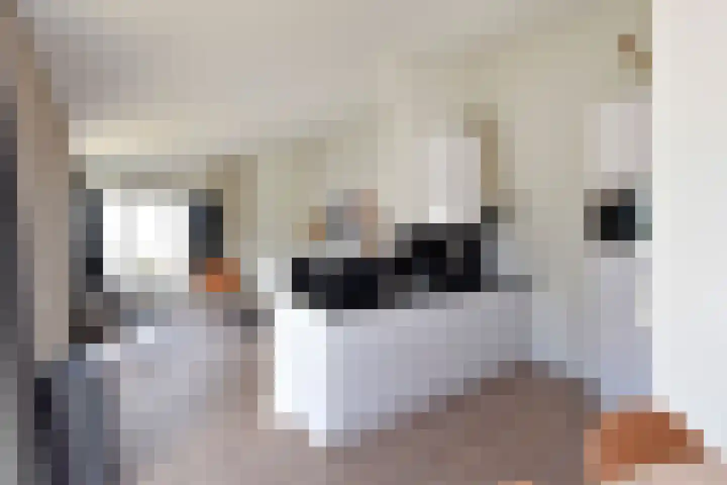 Sophiaboulevard 21 Kamperland thumbnail 12