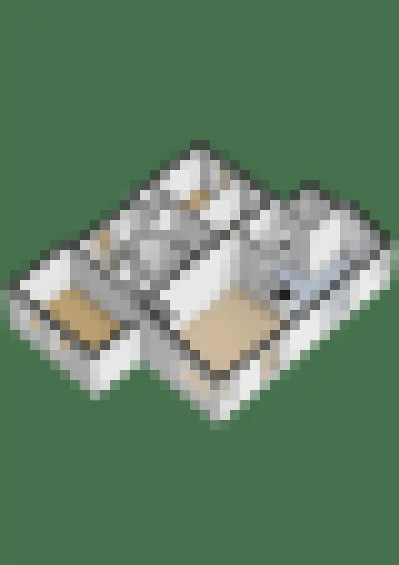 Sophiaboulevard 21 Kamperland thumbnail 31