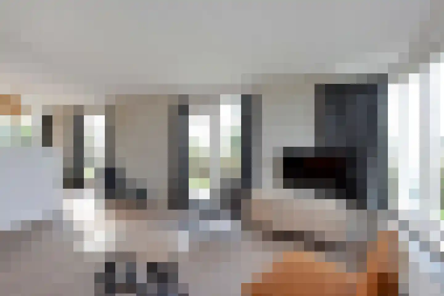 Sophiaboulevard 21 Kamperland thumbnail 6