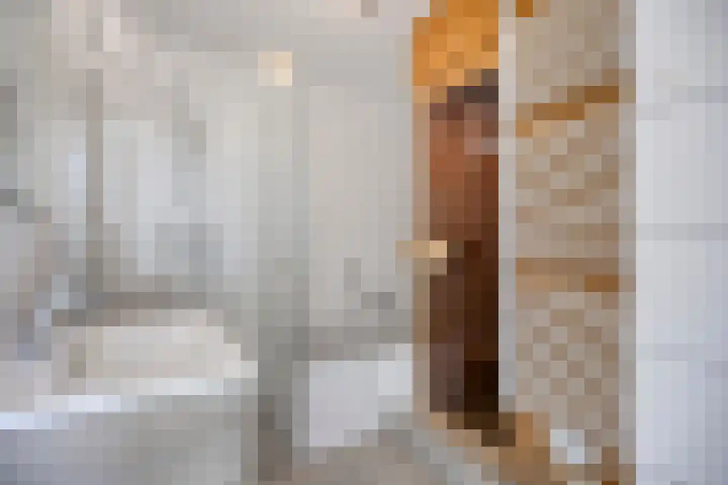 Sophiaboulevard 23 Kamperland thumbnail 14
