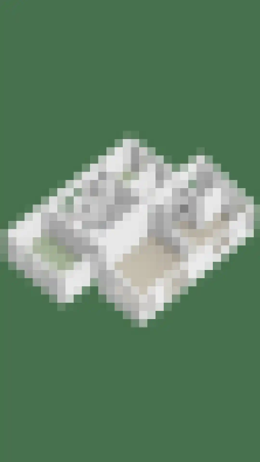 Sophiaboulevard 23 Kamperland thumbnail 27