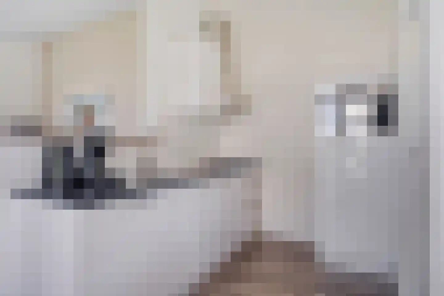 Sophiaboulevard 23 Kamperland thumbnail 8