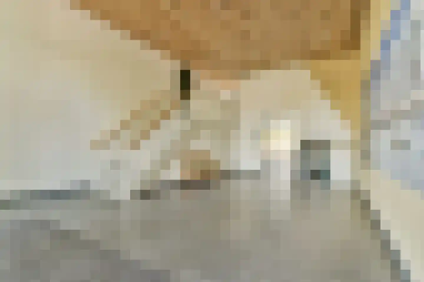 Sophiakade 24 Rotterdam thumbnail 14