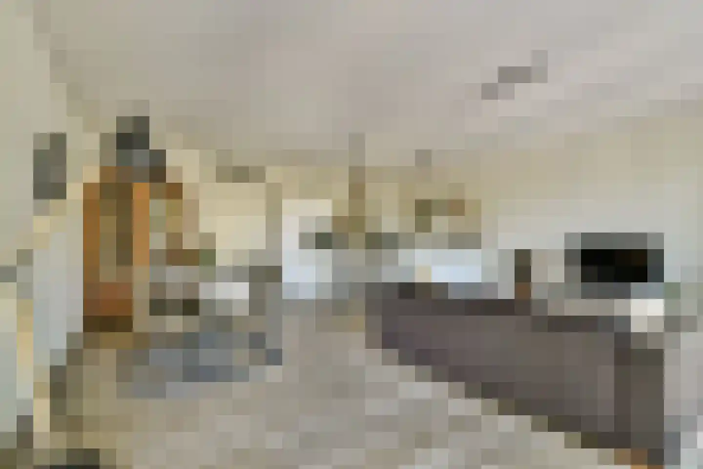 Sophiakade 24 Rotterdam thumbnail 18