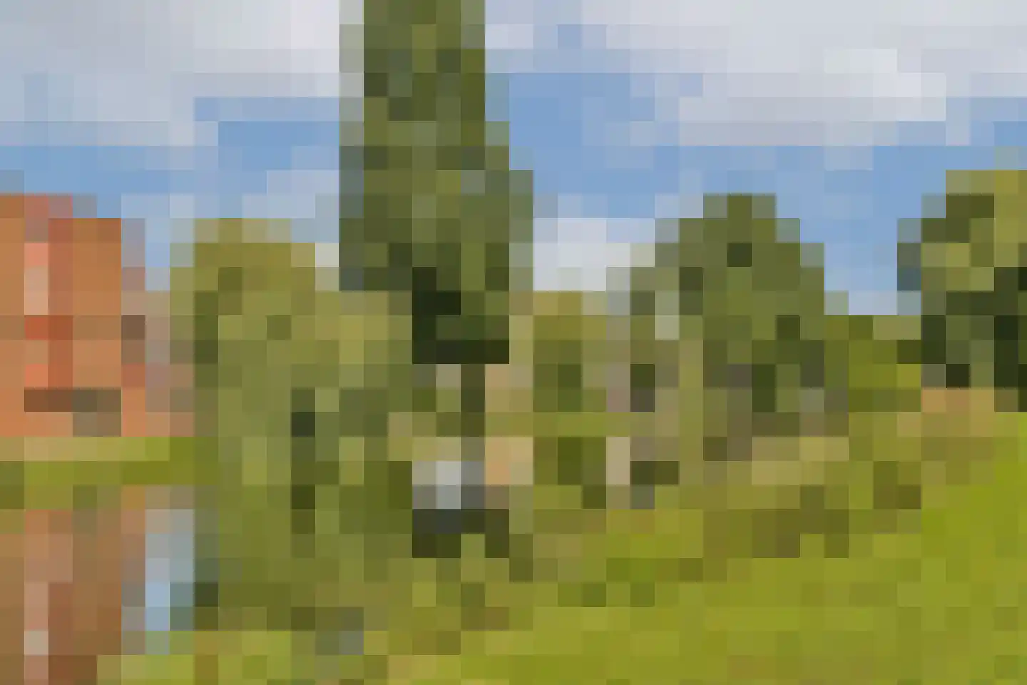 Sophiakade 24 Rotterdam thumbnail 31