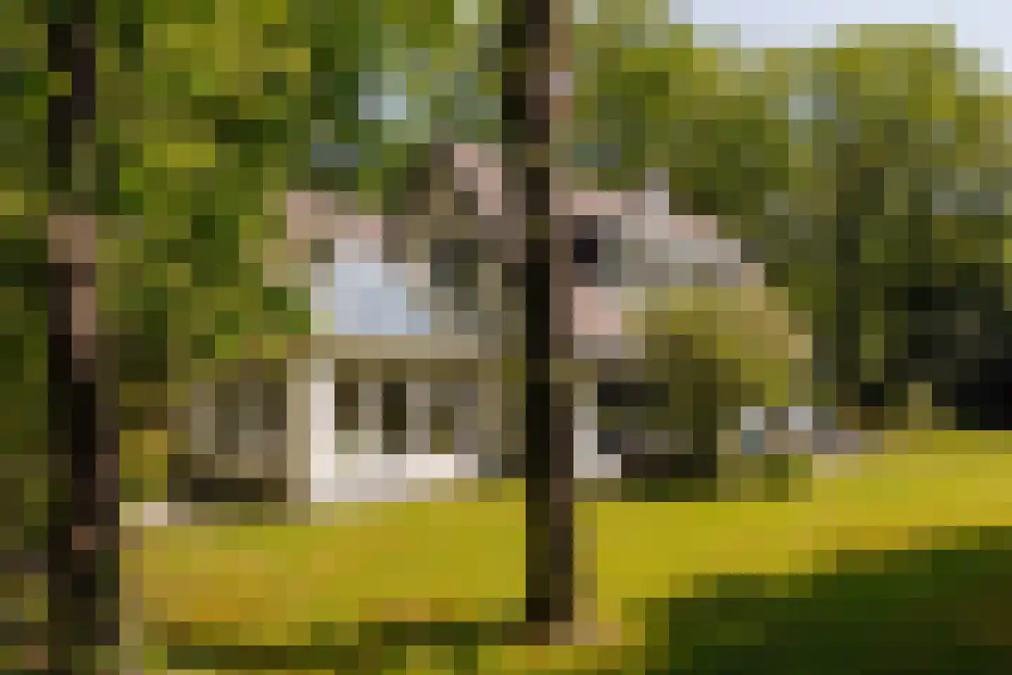 Sophialaan 1 A Wassenaar thumbnail 26