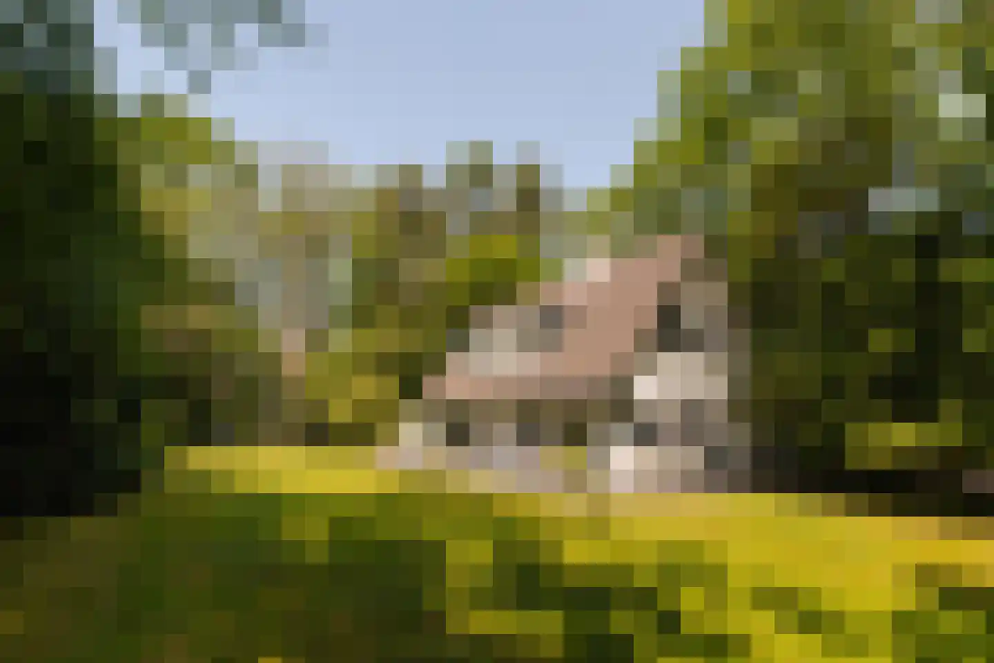 Sophialaan 1 A Wassenaar thumbnail 27