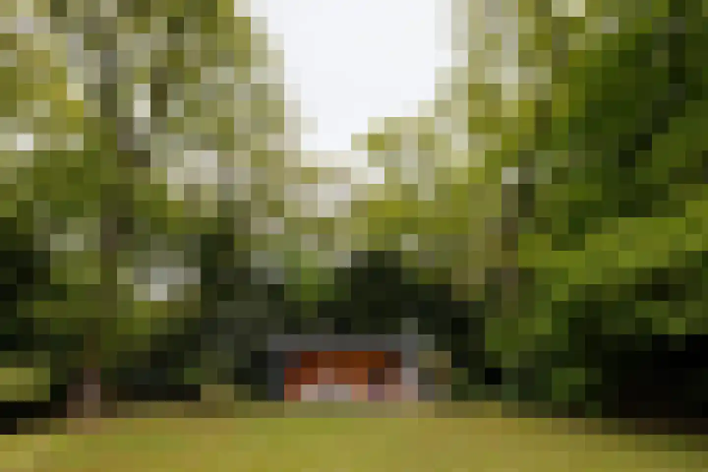 Sophialaan 1 A Wassenaar thumbnail 28