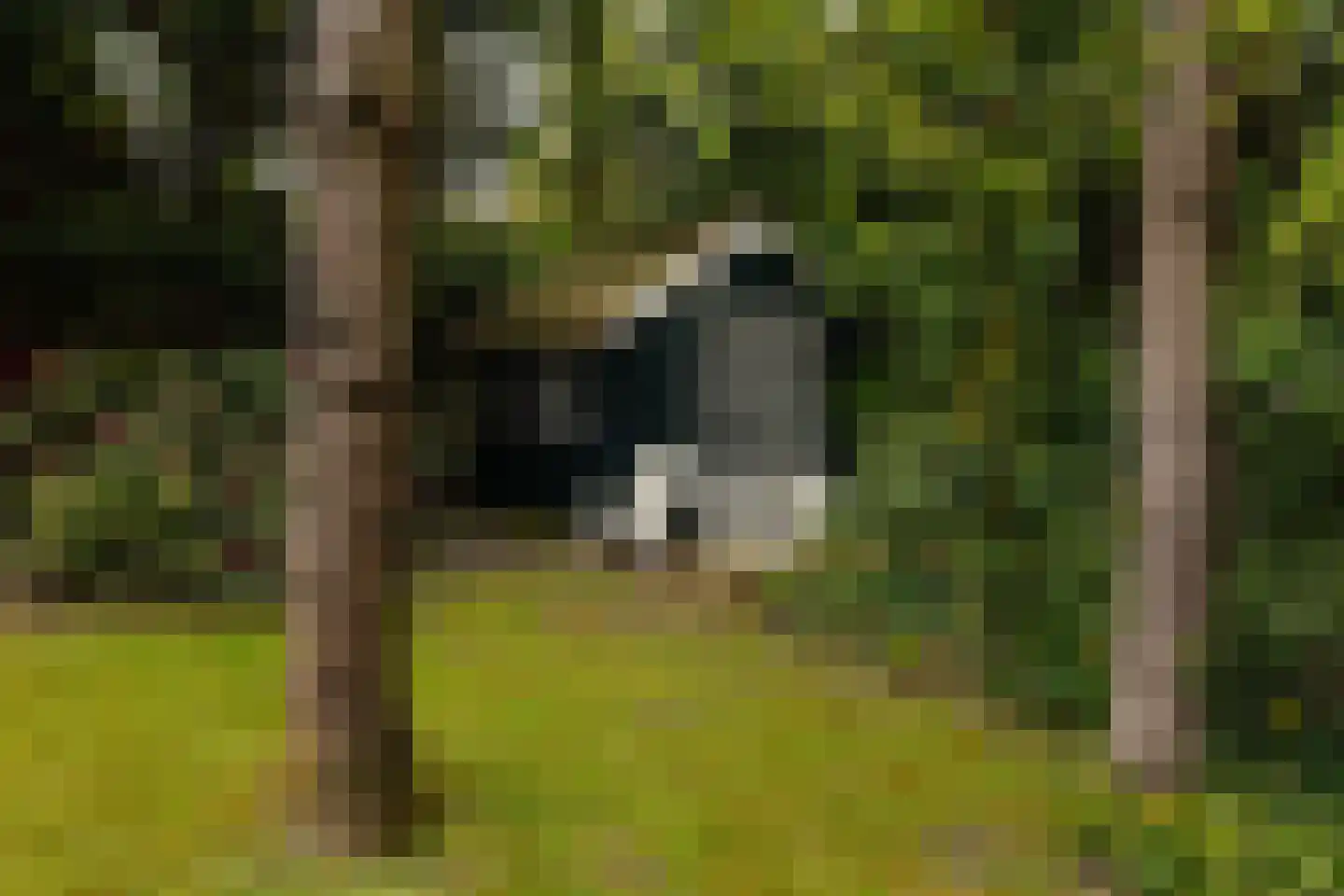 Sophialaan 1 A Wassenaar thumbnail 30