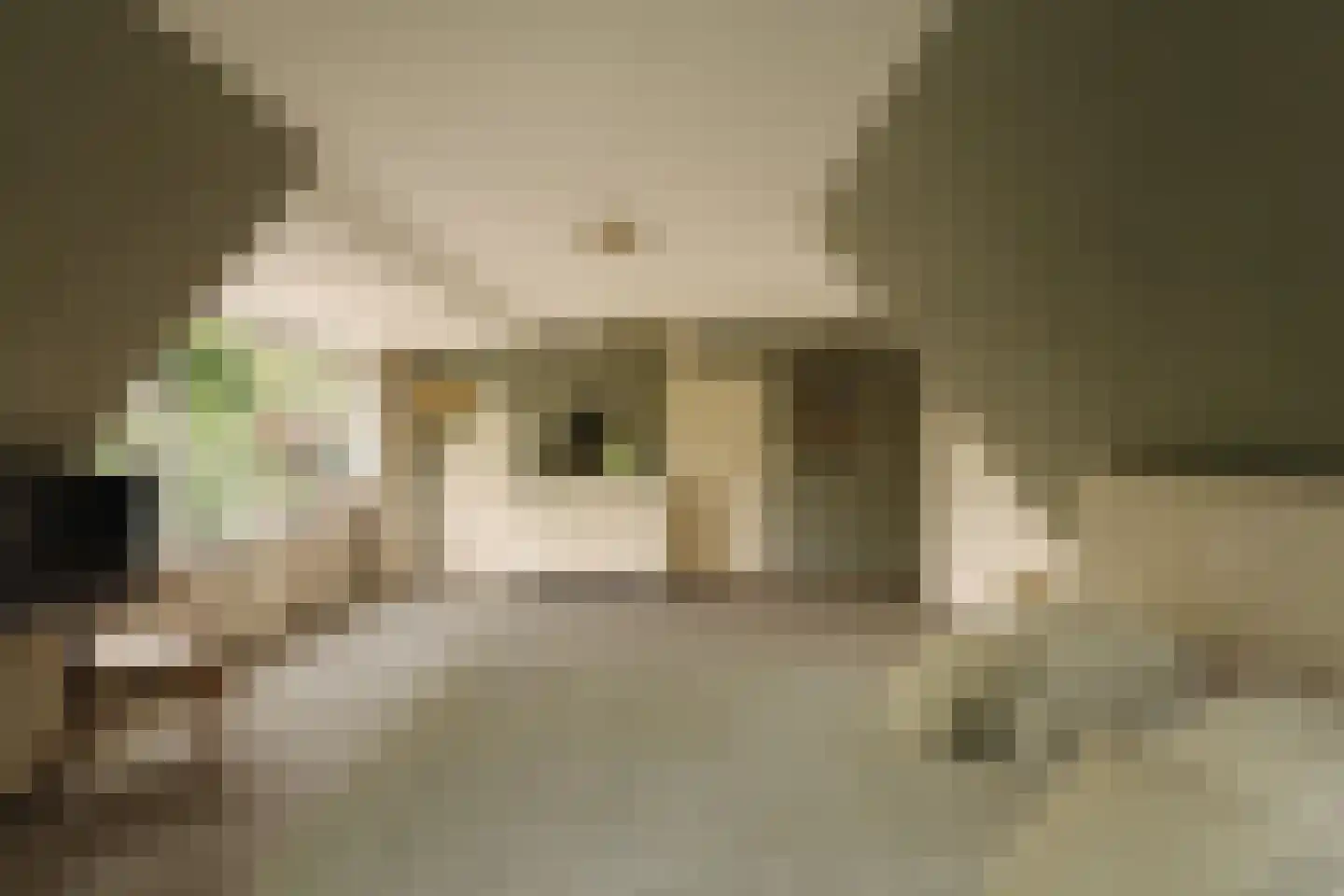 Sophialaan 1 A Wassenaar thumbnail 35