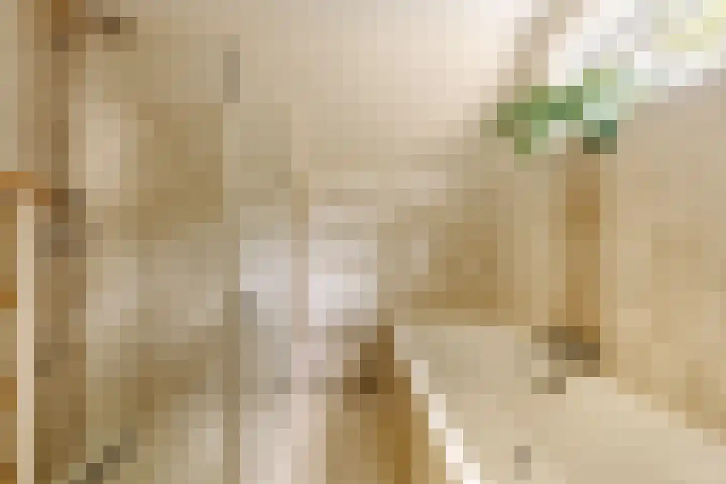 Sophialaan 1 A Wassenaar thumbnail 37