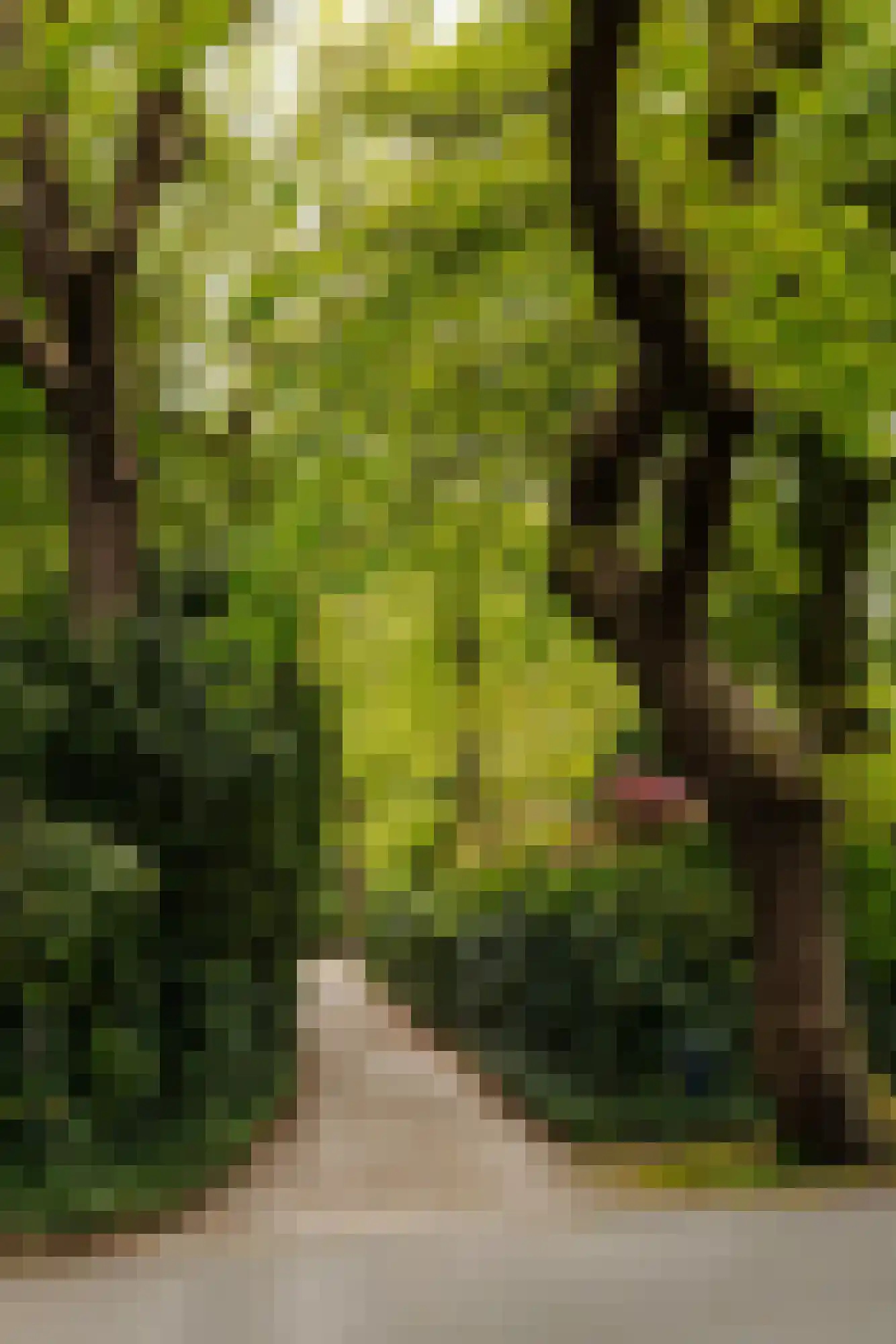Sophialaan 1 A Wassenaar thumbnail 4
