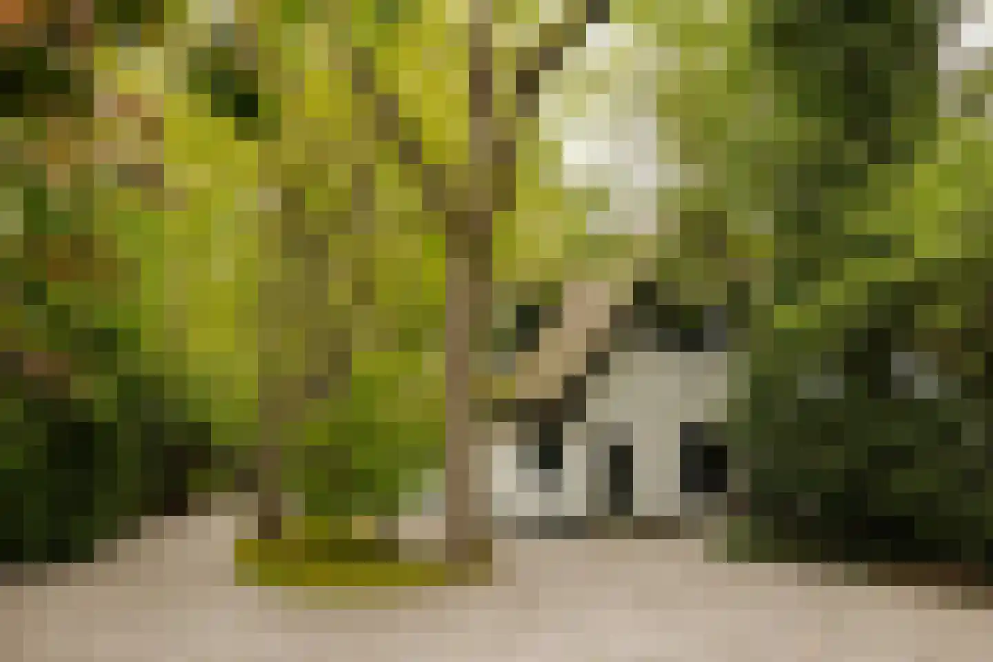 Sophialaan 1 A Wassenaar thumbnail 47