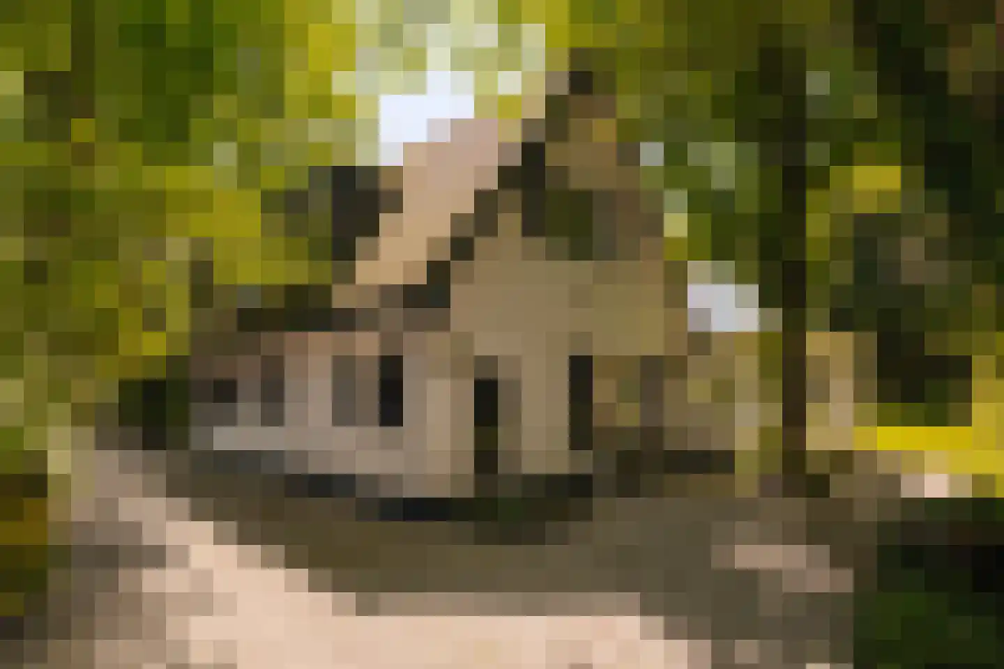 Sophialaan 1 A Wassenaar thumbnail 48
