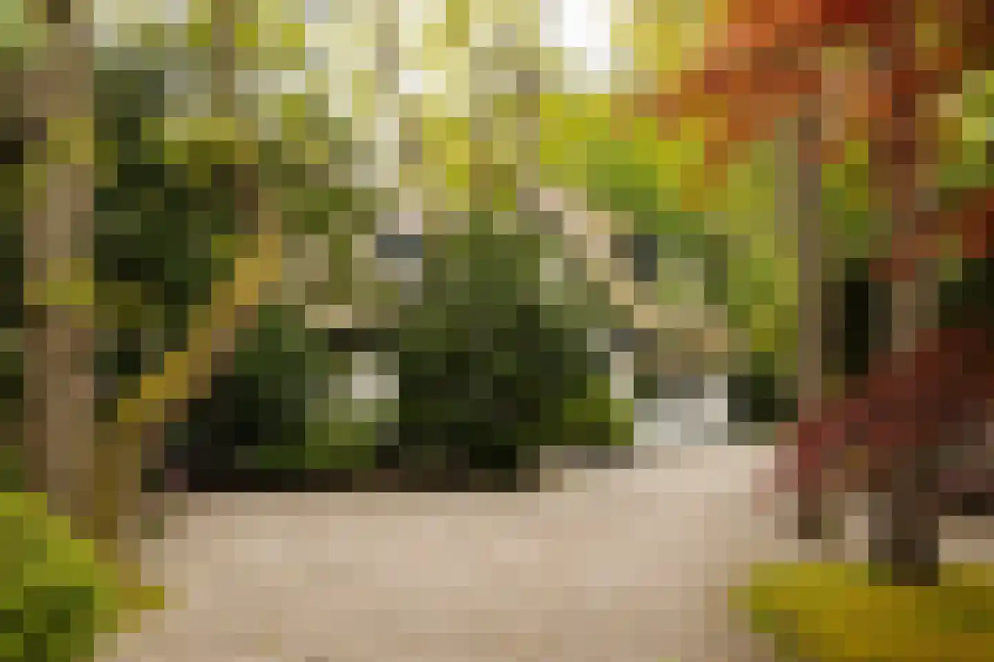 Sophialaan 1 A Wassenaar thumbnail 5