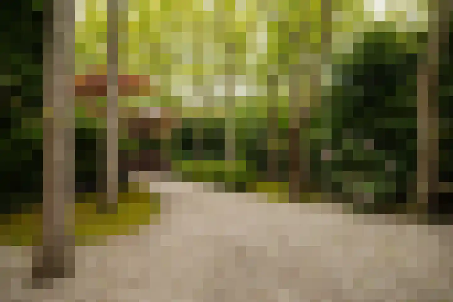 Sophialaan 1 A Wassenaar thumbnail 50
