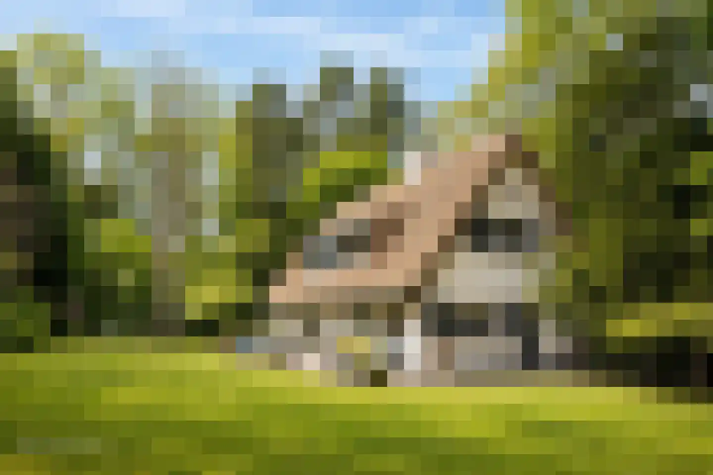 Sophialaan 1 A Wassenaar thumbnail 50