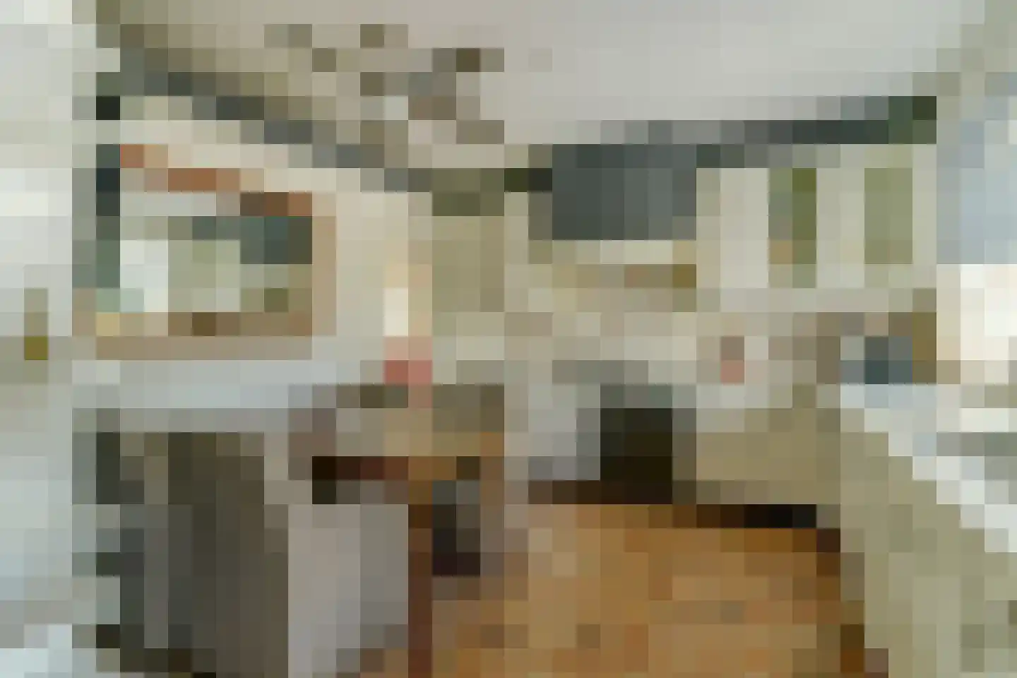 Sophialaan 1 Best thumbnail 14