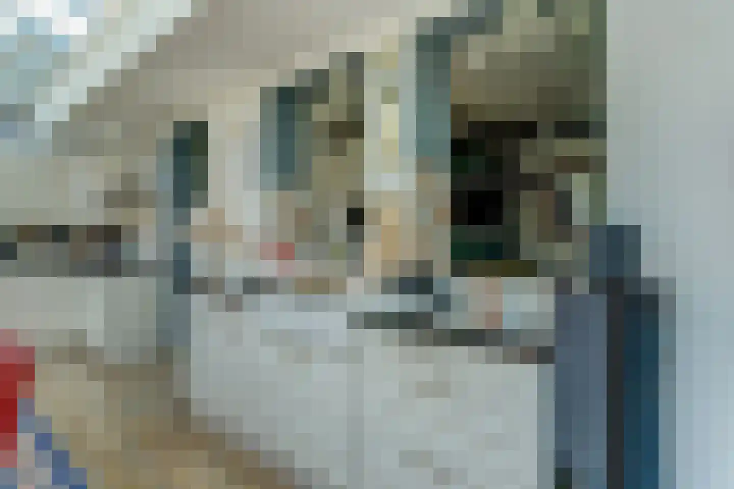 Sophialaan 1 Best thumbnail 15