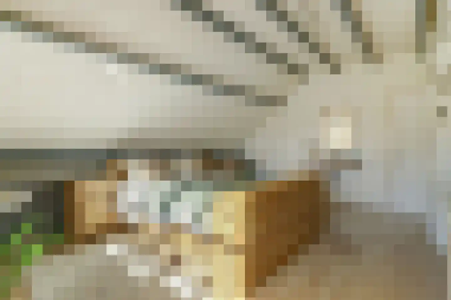 Sophialaan 1 Best thumbnail 30