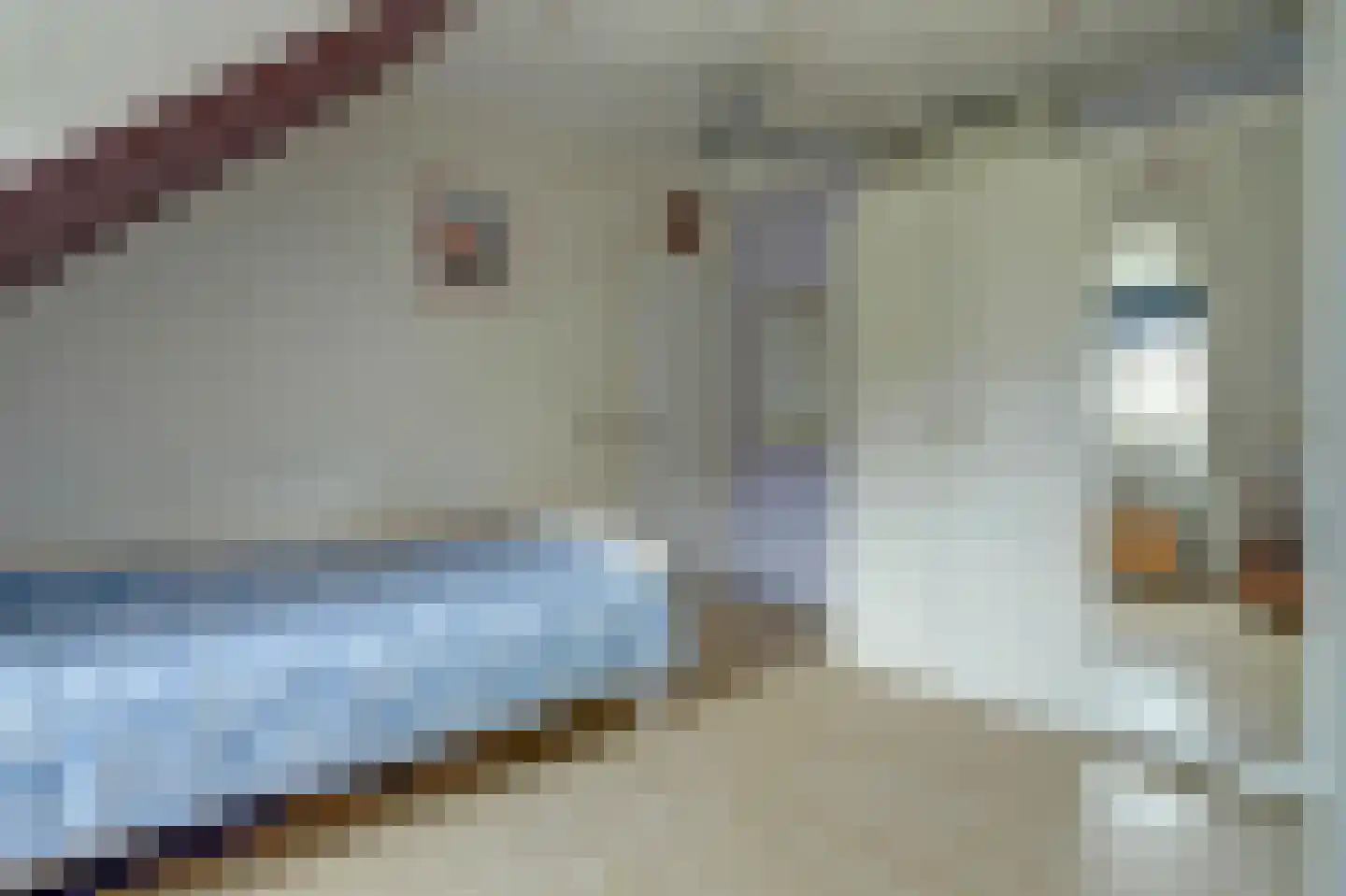 Sophialaan 1 Best thumbnail 34
