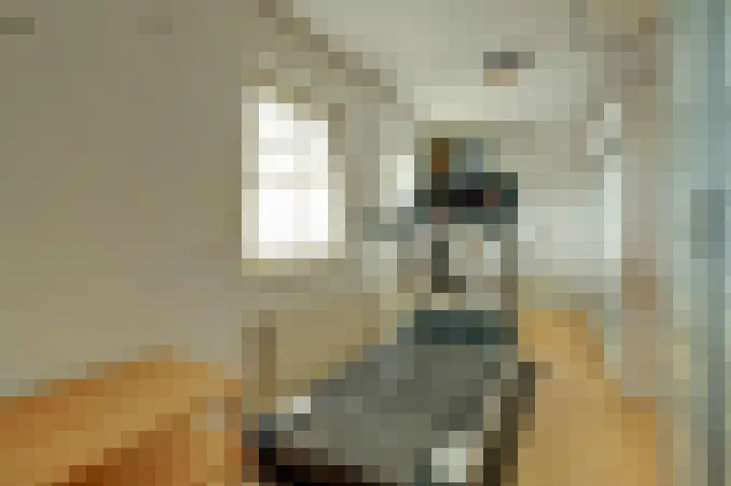 Sophialaan 1 Best thumbnail 35