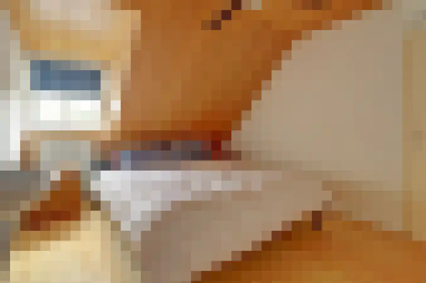 Sophialaan 1 Best thumbnail 37
