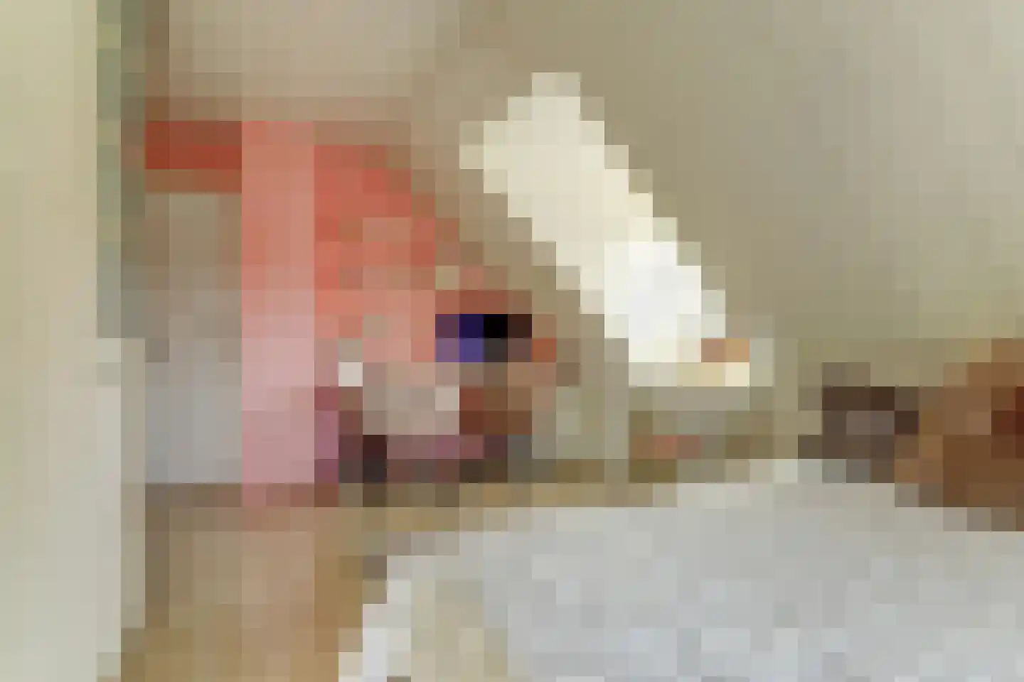 Sophialaan 1 Best thumbnail 40