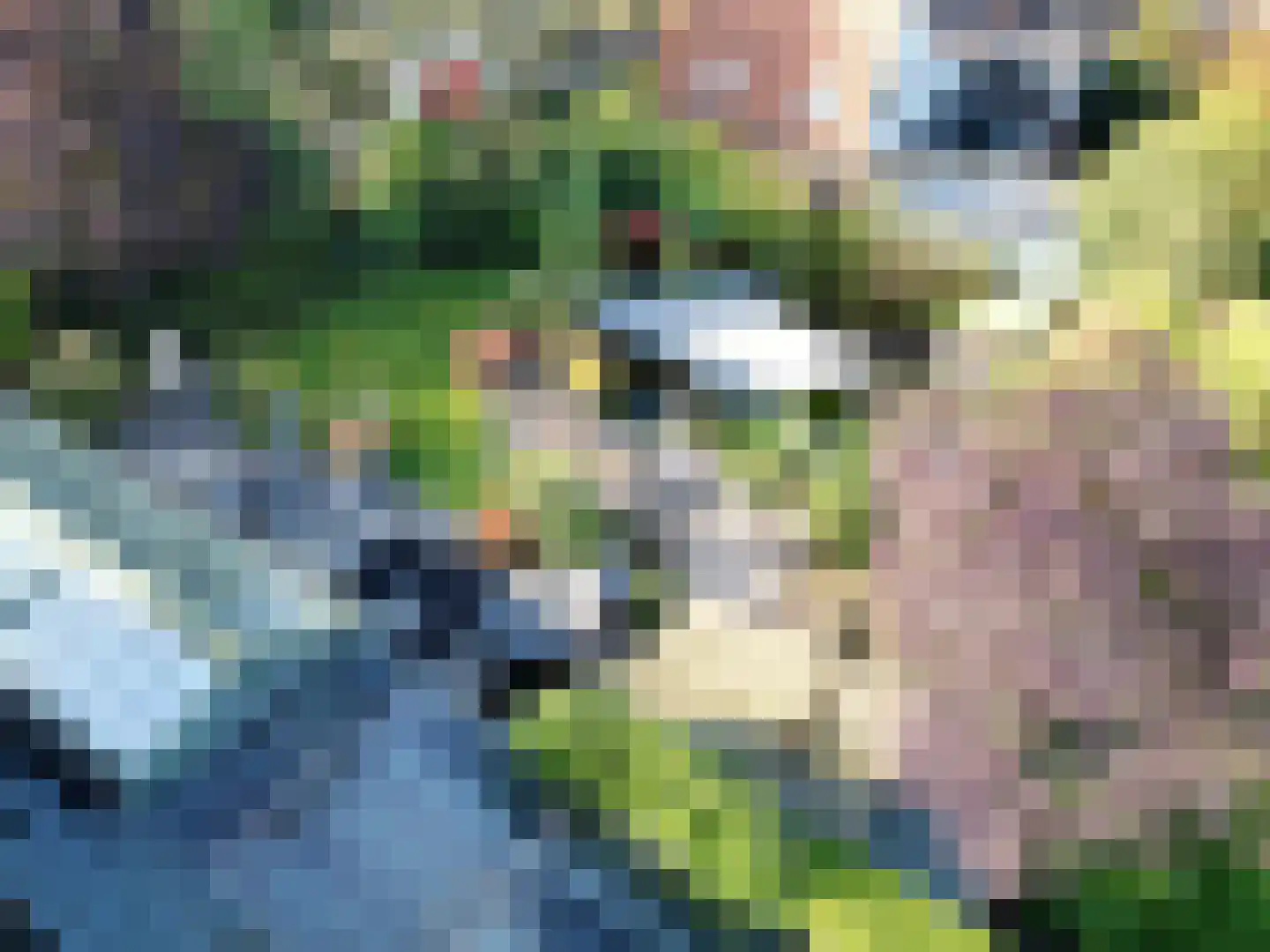 Sophialaan 1 Best thumbnail 56