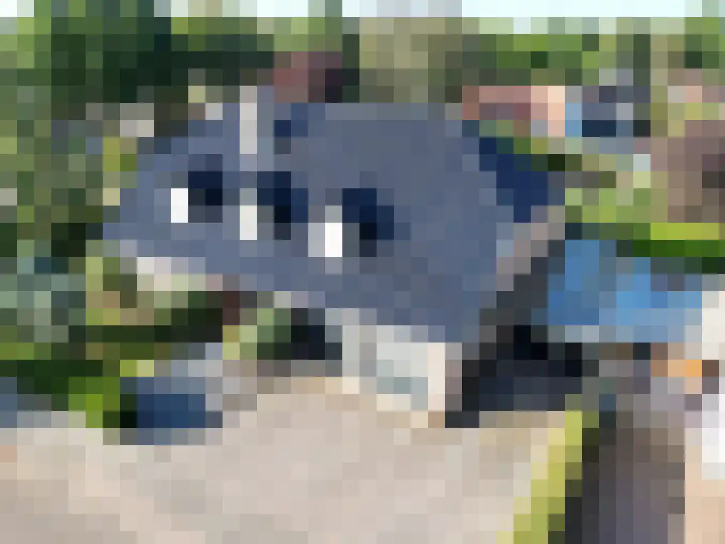 Sophialaan 1 Best thumbnail 57