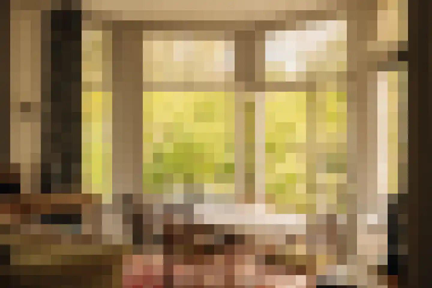 Sophialaan 14 Amsterdam thumbnail 12