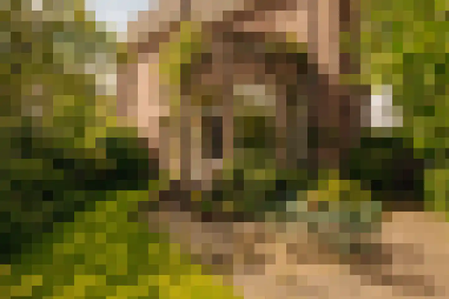 Sophialaan 14 Amsterdam thumbnail 14