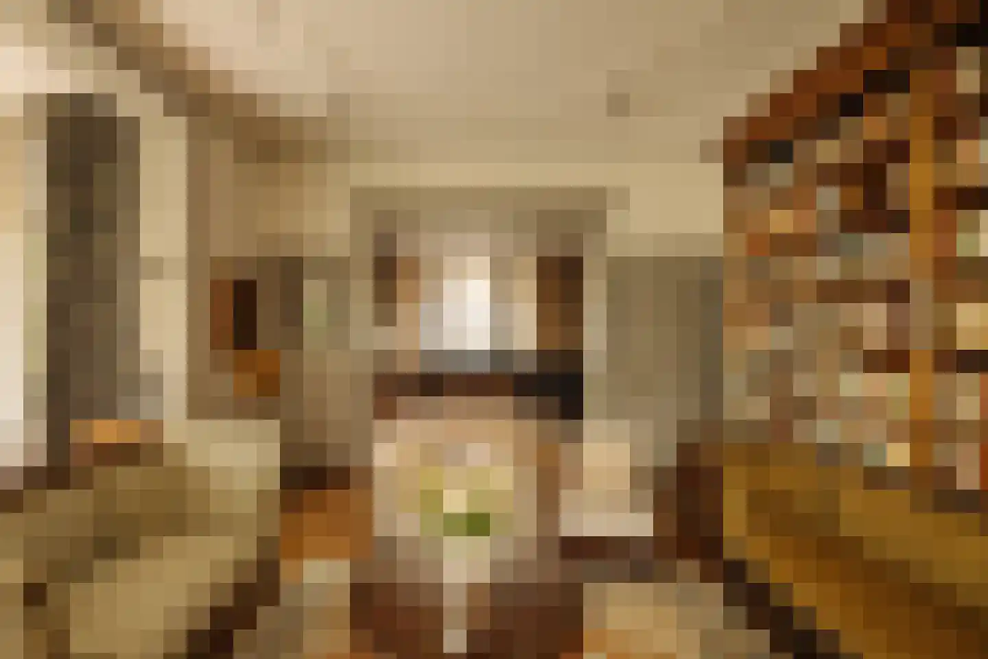 Sophialaan 14 Amsterdam thumbnail 19