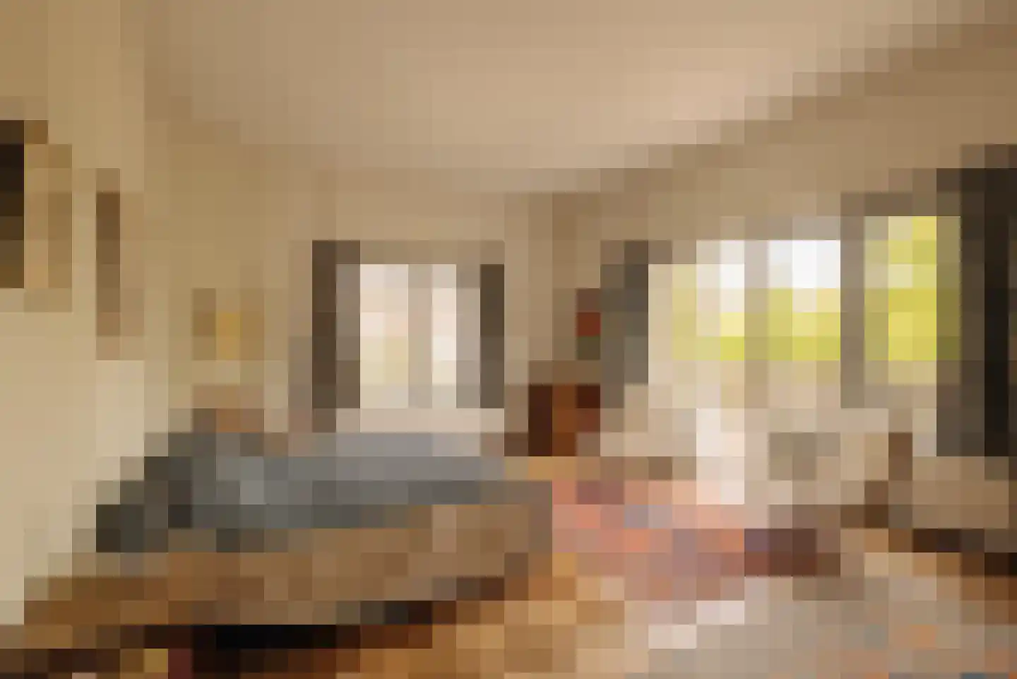 Sophialaan 14 Amsterdam thumbnail 28