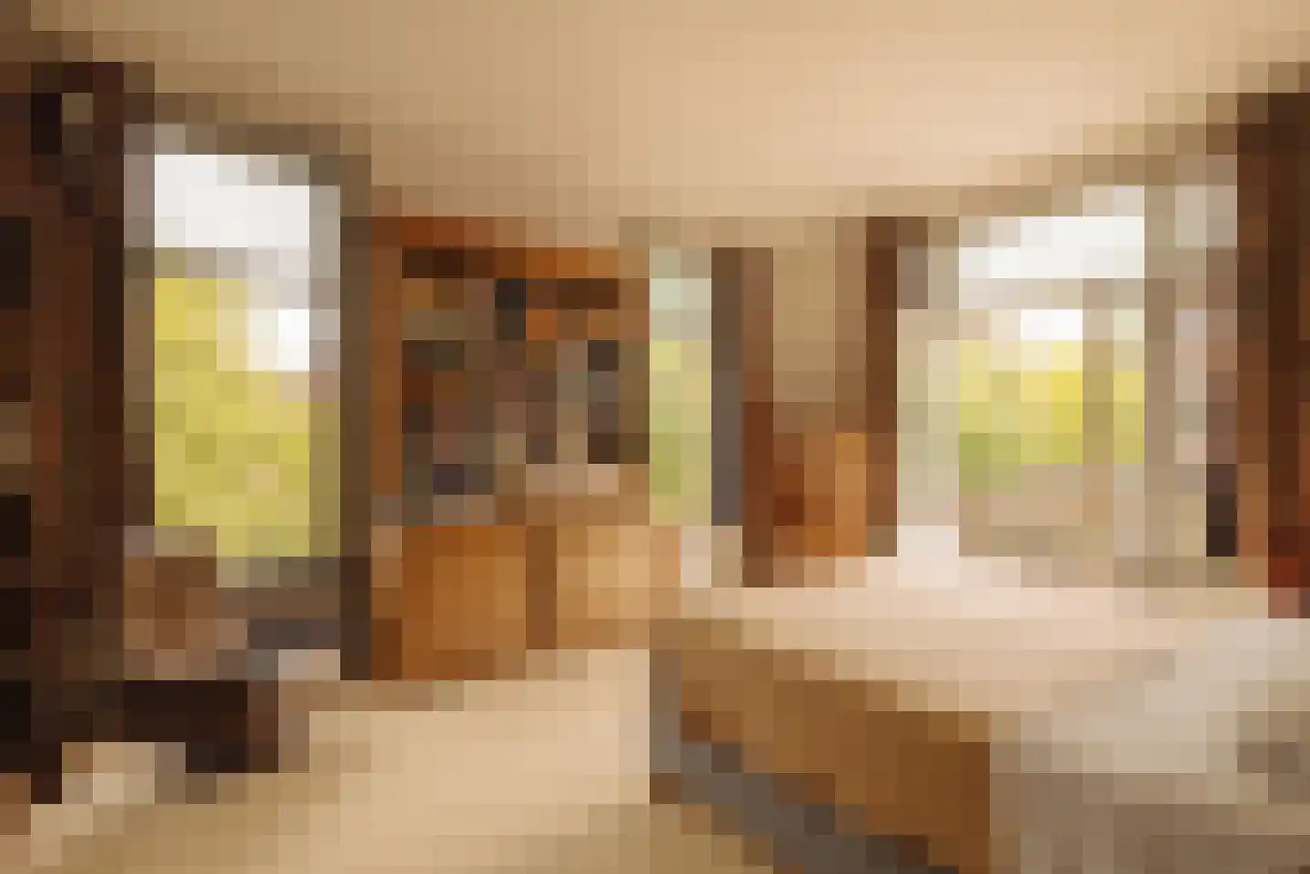 Sophialaan 14 Amsterdam thumbnail 33
