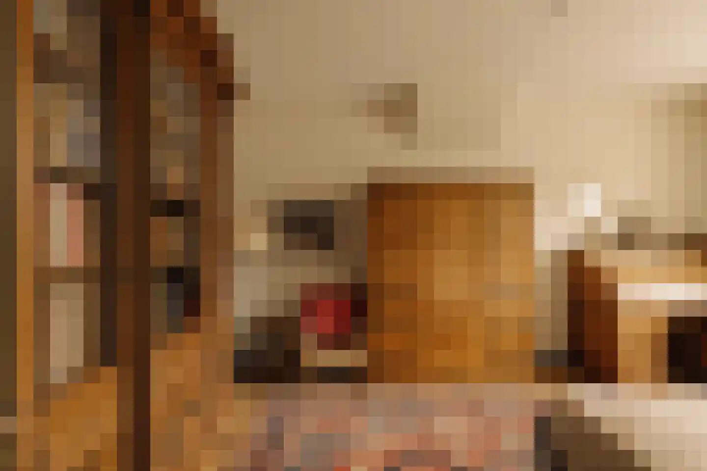 Sophialaan 14 Amsterdam thumbnail 43