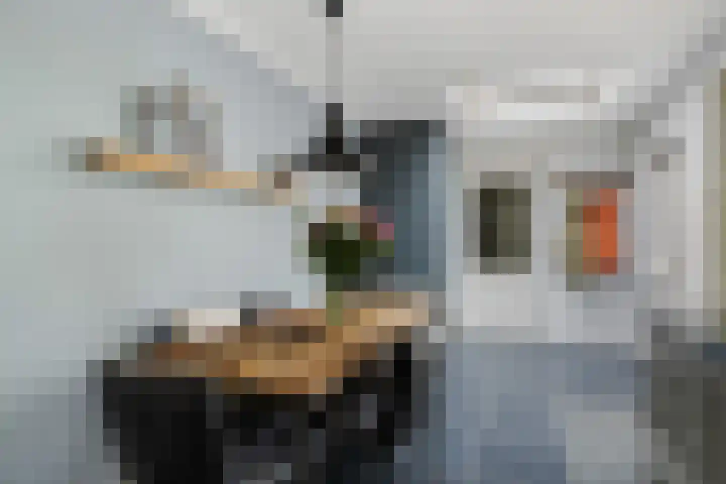 Sophialaan 14 Ermelo thumbnail 16