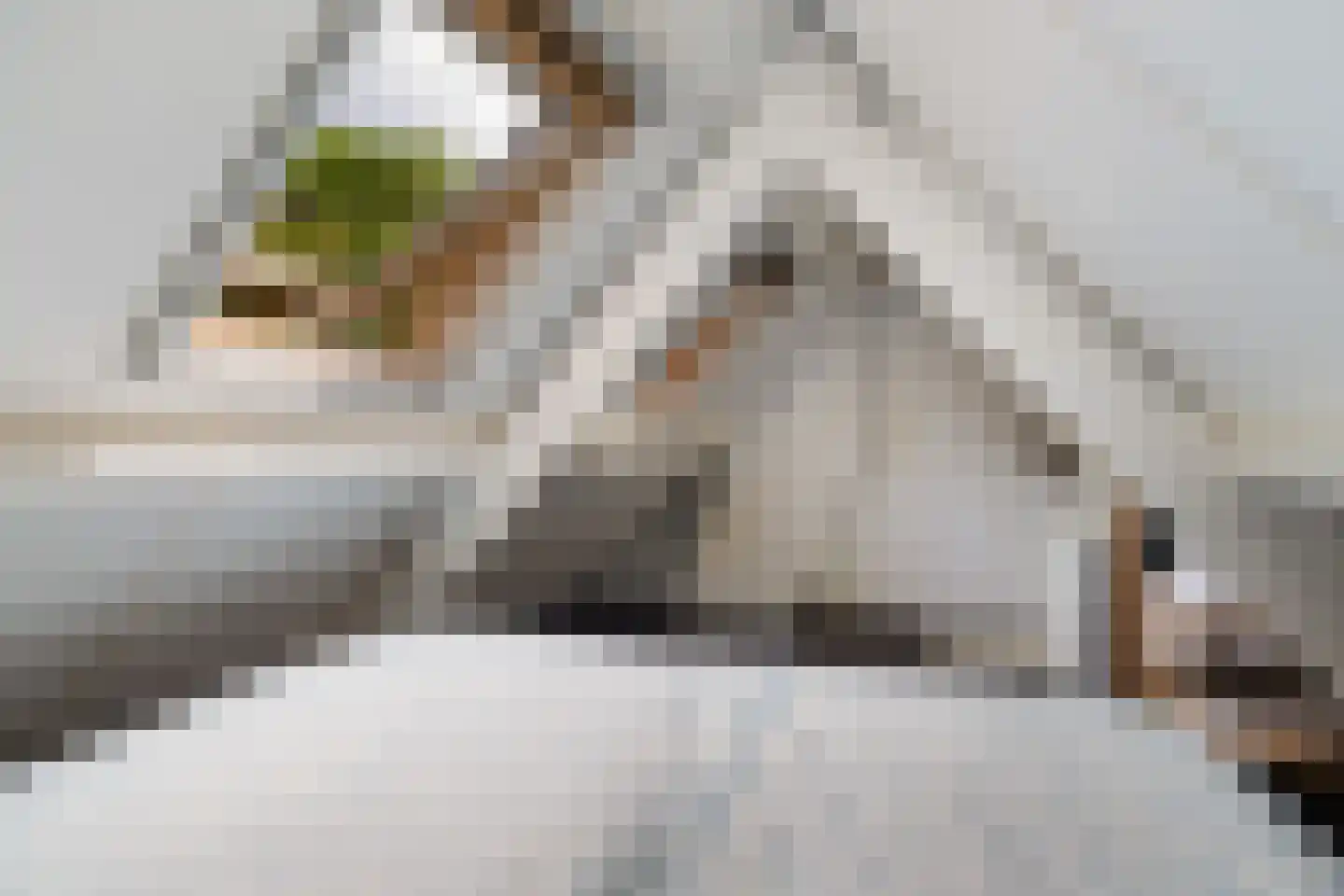 Sophialaan 14 Ermelo thumbnail 28
