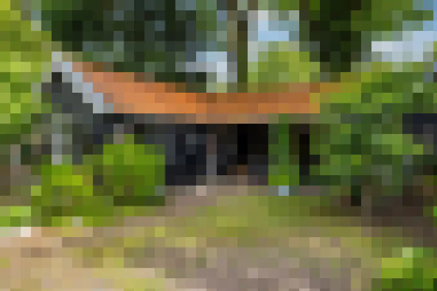 Sophialaan 14 Ermelo thumbnail 35