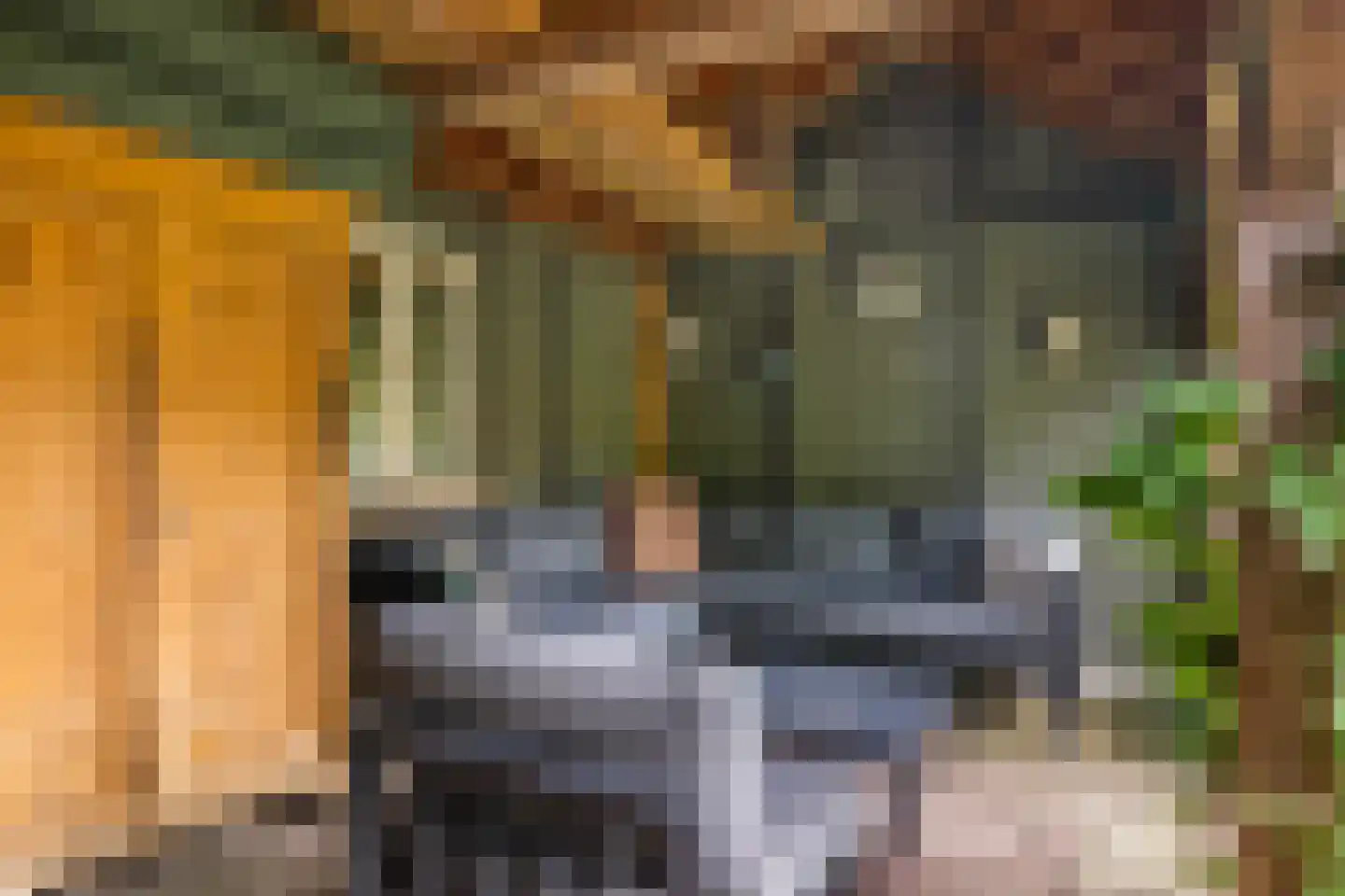 Sophialaan 14 Ermelo thumbnail 37