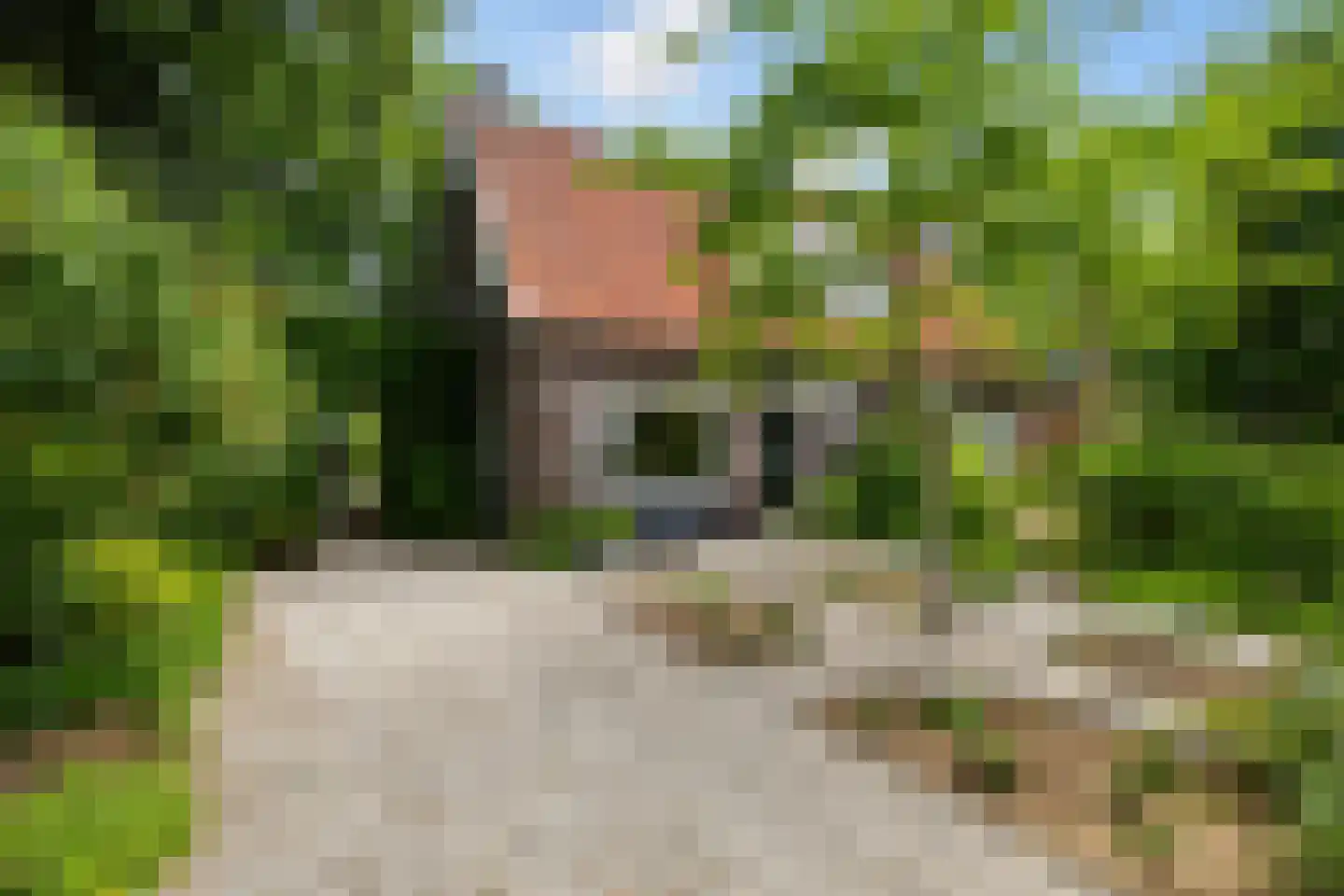 Sophialaan 14 Ermelo thumbnail 38