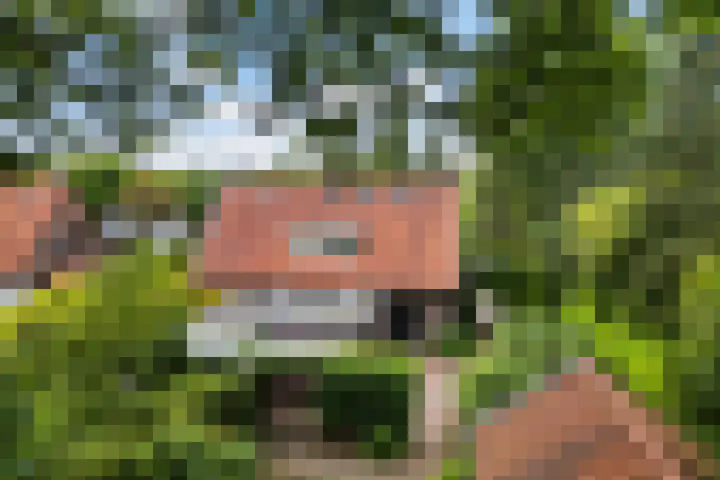 Sophialaan 14 Ermelo thumbnail 39