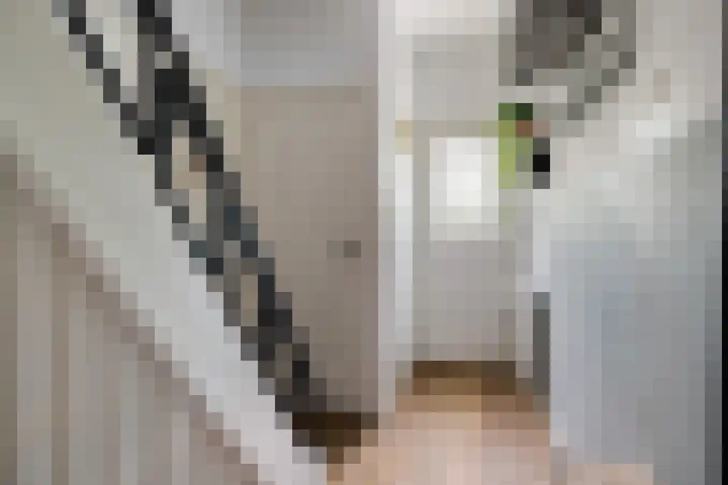 Sophialaan 14 Ermelo thumbnail 4