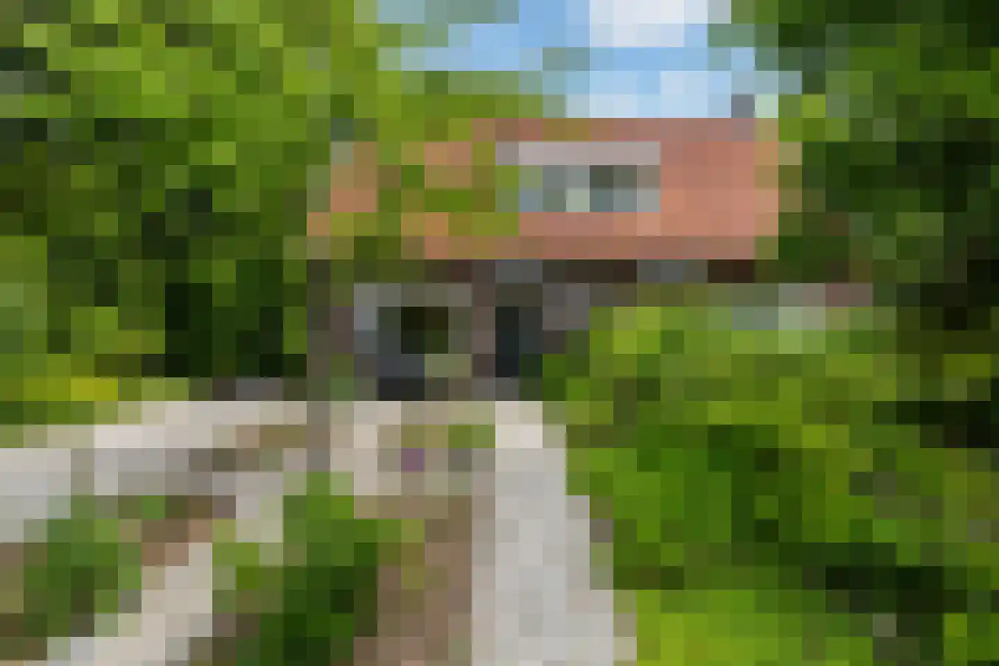 Sophialaan 14 Ermelo thumbnail 40