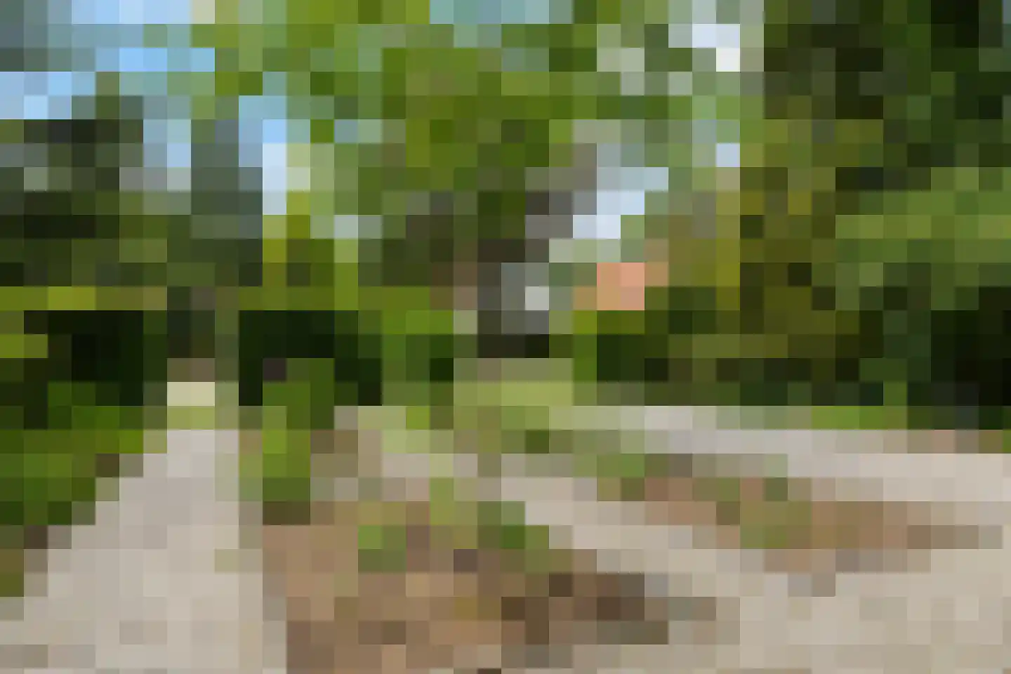 Sophialaan 14 Ermelo thumbnail 42