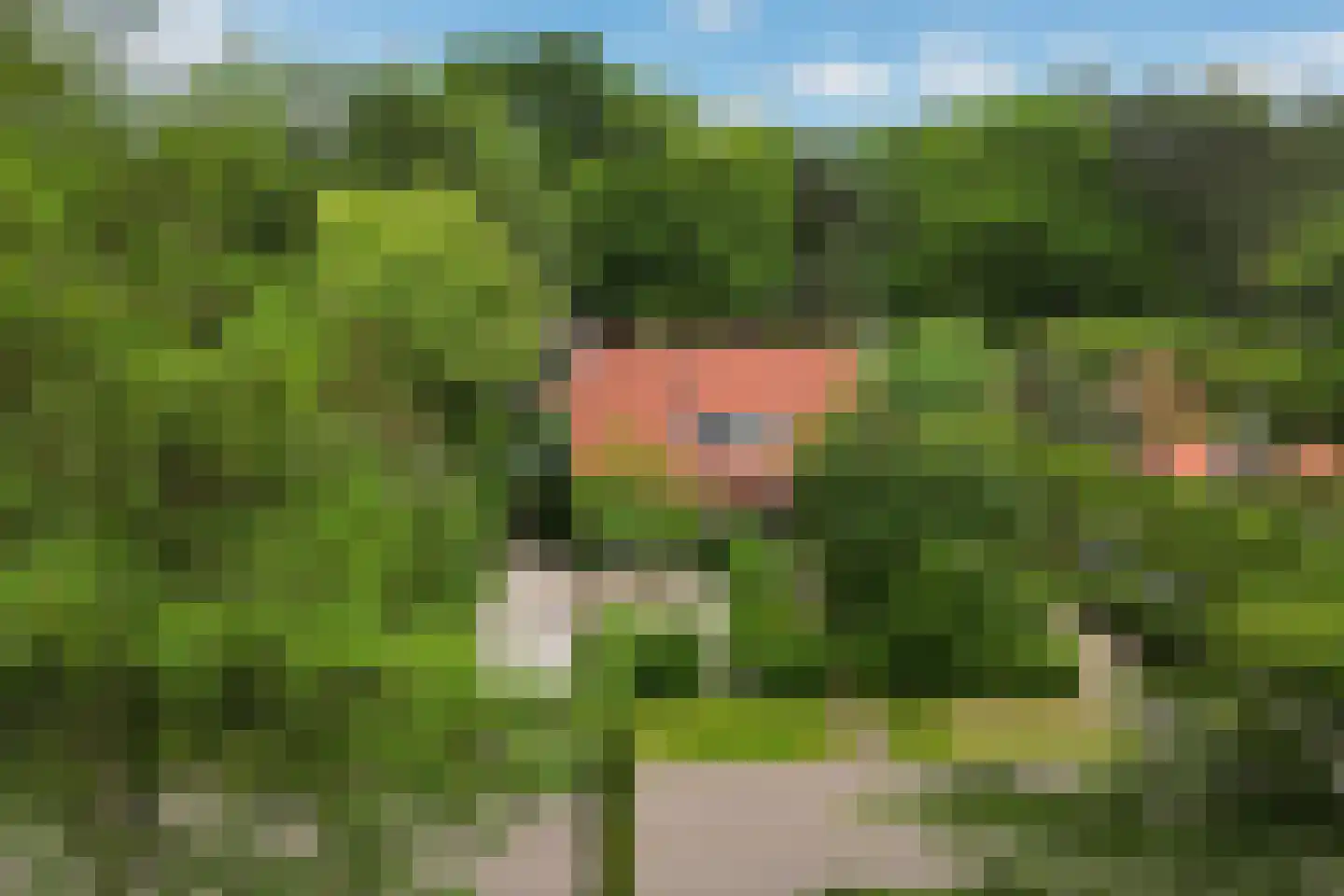 Sophialaan 14 Ermelo thumbnail 43