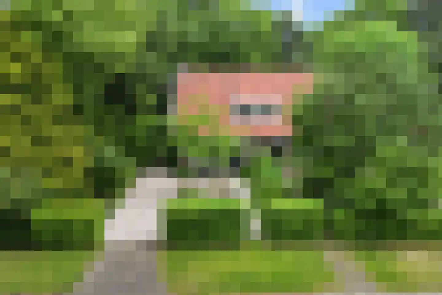 Sophialaan 14 Ermelo thumbnail 44
