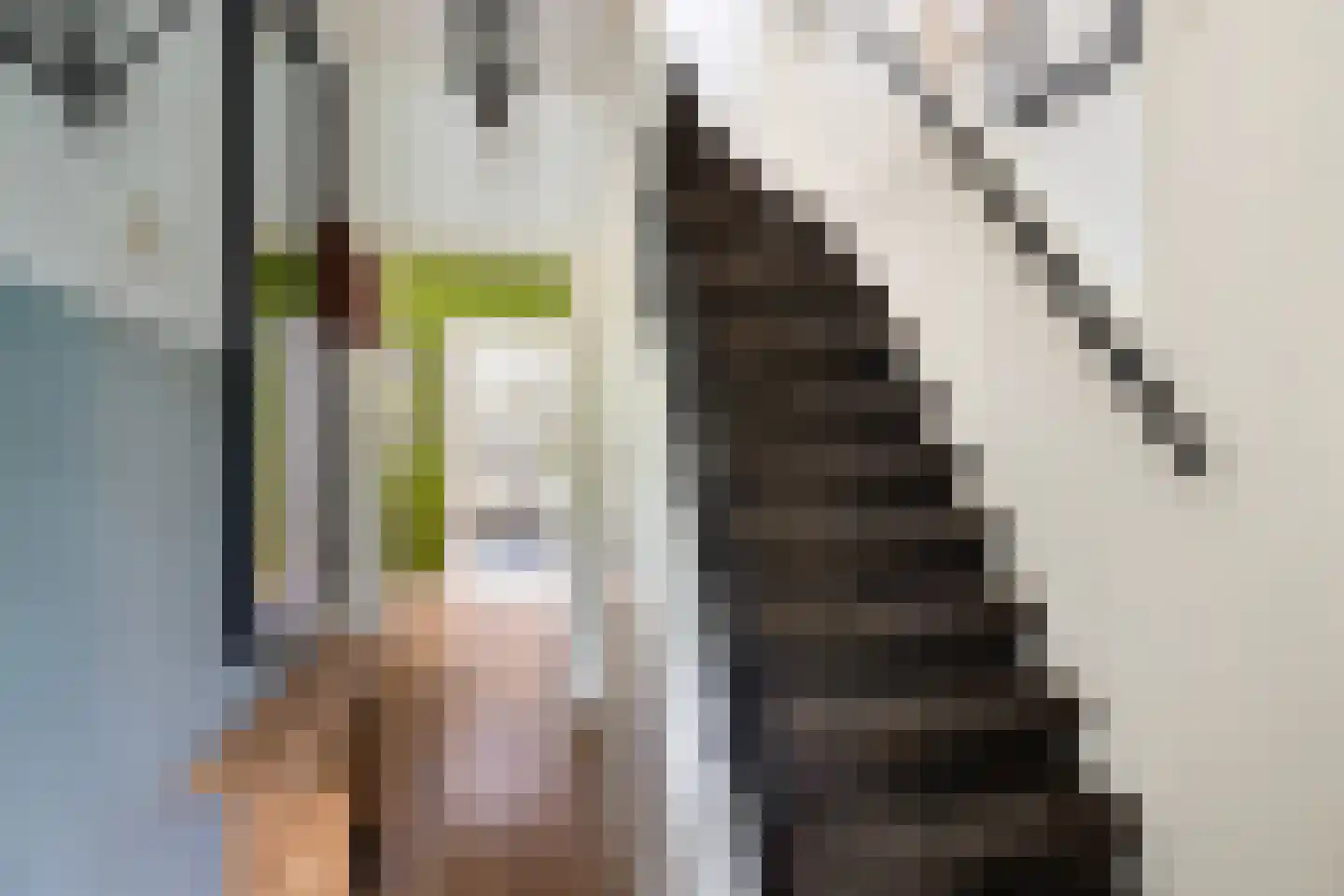 Sophialaan 14 Ermelo thumbnail 5