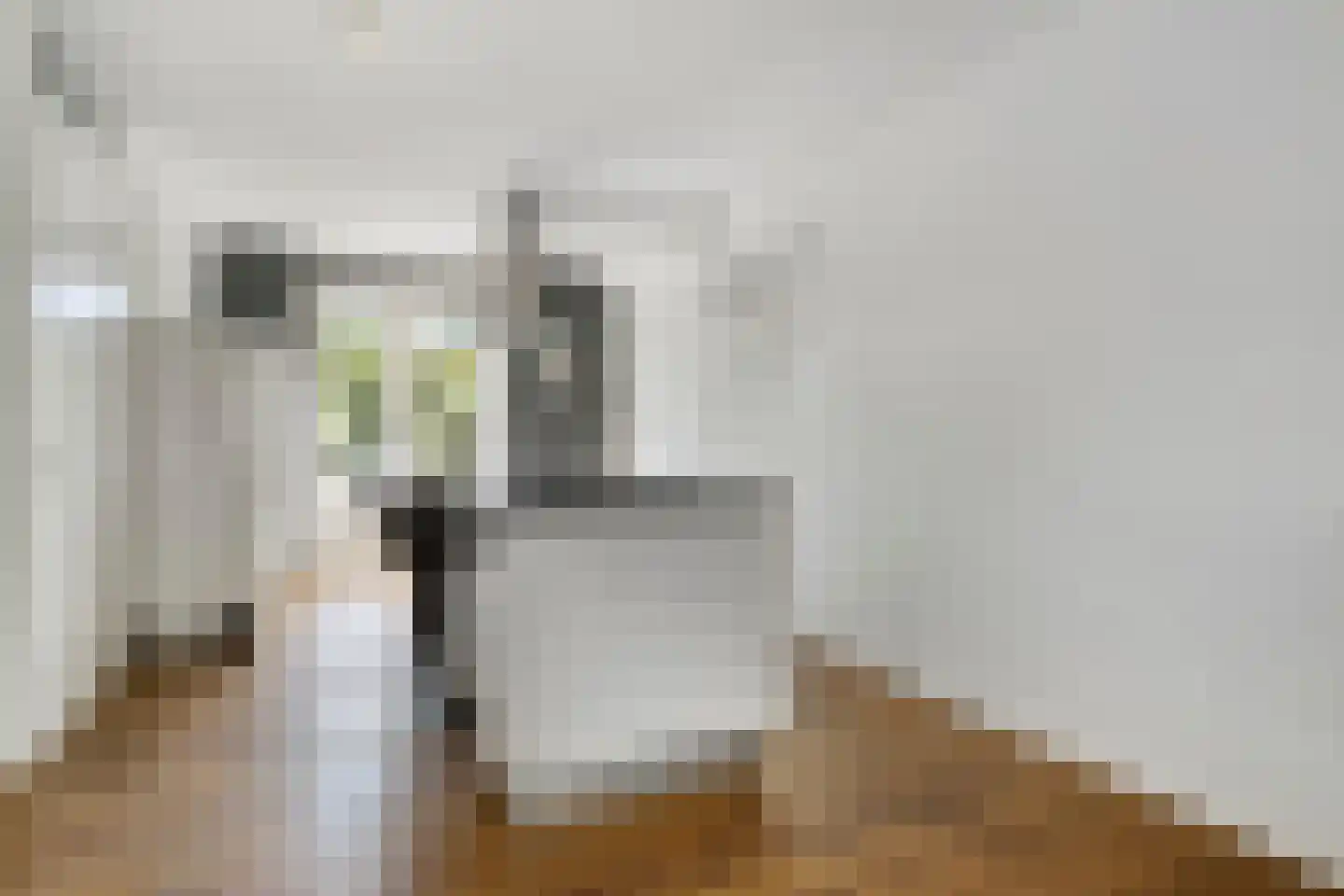 Sophialaan 14 Hendrik-Ido-Ambacht thumbnail 10