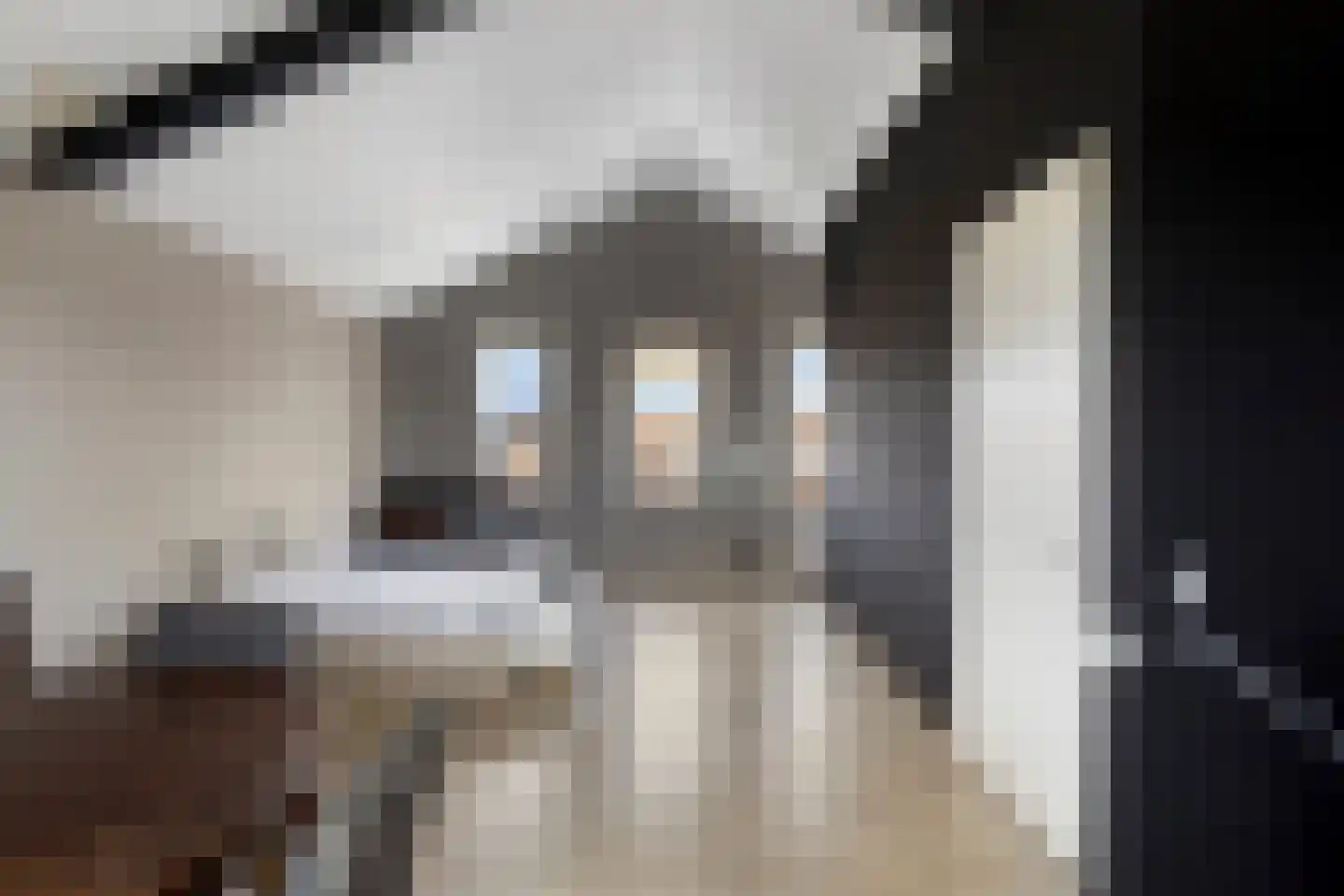 Sophialaan 14 Hendrik-Ido-Ambacht thumbnail 26